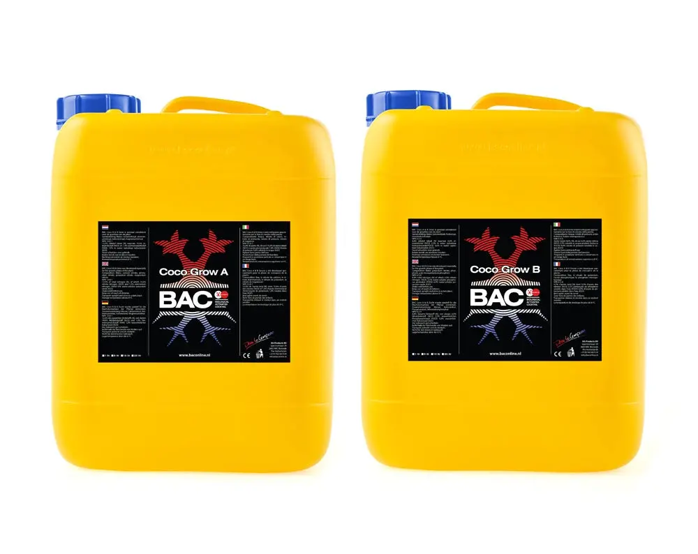 Bac Coco Bloom Ab 1