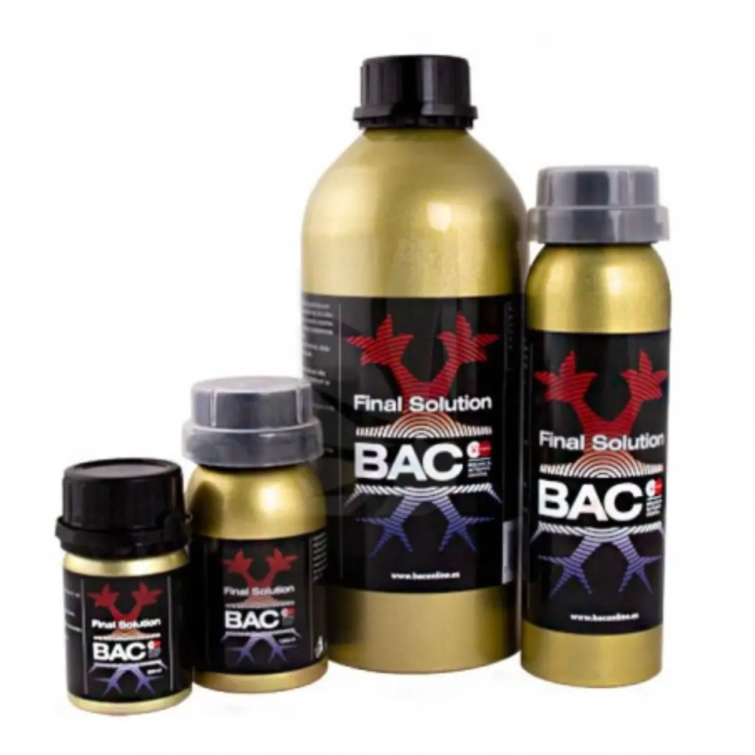 Bac - Final Solution 1