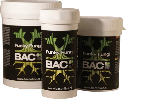 Bac - Funky Fungi 1