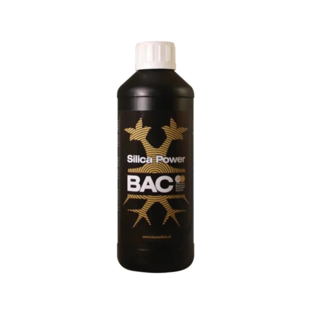 Bac - Silica Power 1