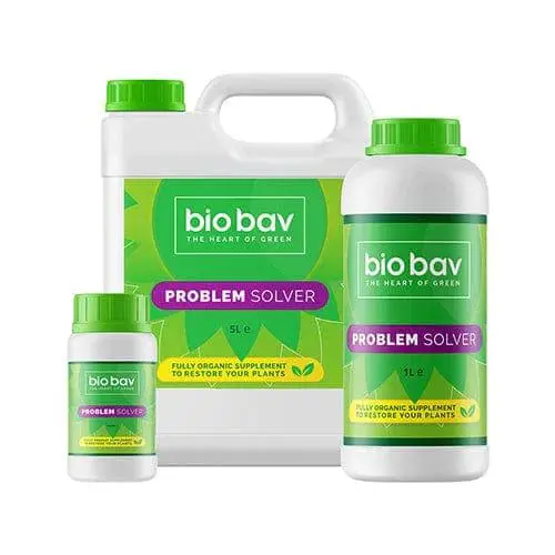 Bio Bav Problem Solver 1