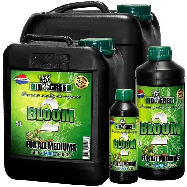 Biogreen - Bloom 1