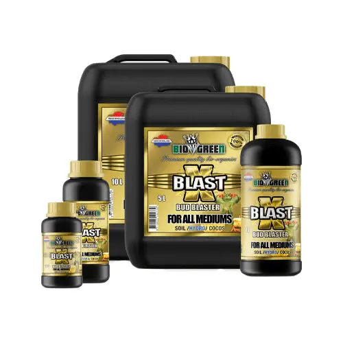Biogreen X-Blast Pk Booster – Late Flowering Additive 1