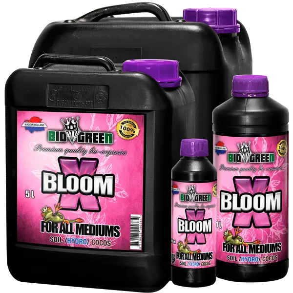 Biogreen - X-Bloom 1