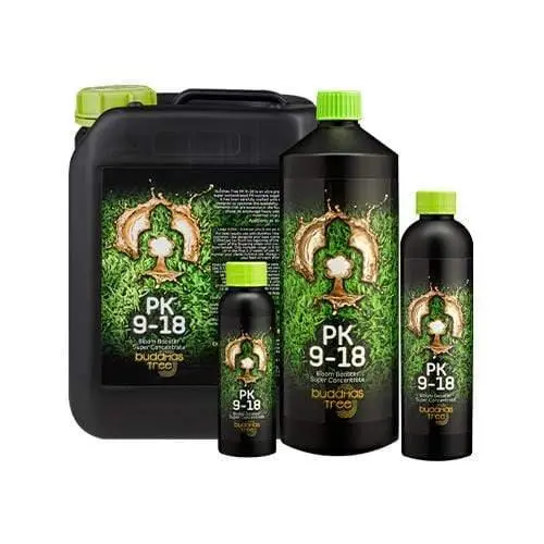 Buddhas Tree Pk 9-18 1