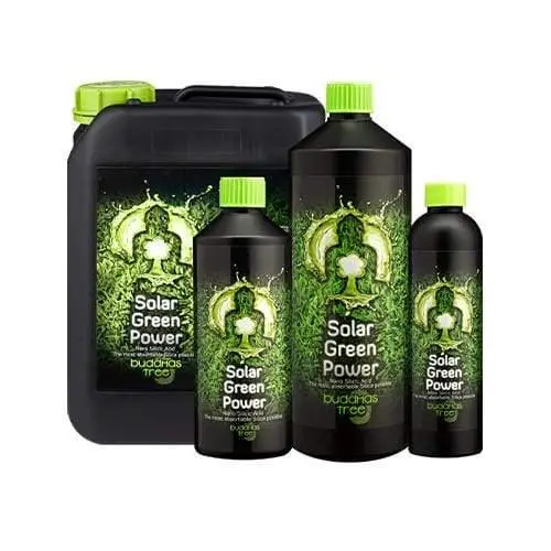 Buddha’S Tree Solar Green Power | Silicon Plant Additive 1