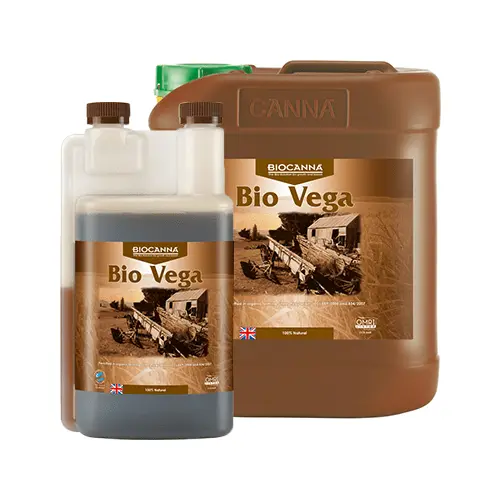 Canna - Bio Vega 1