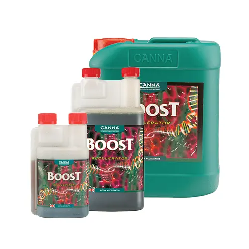 Canna - Boost Accelerator 1
