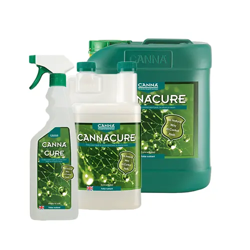 Canna Cure Concentrate 1