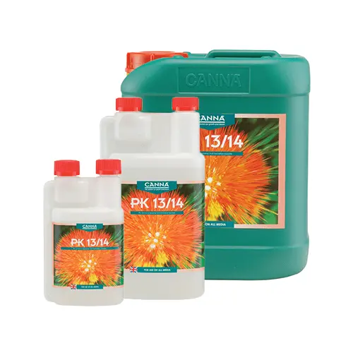 Canna - Pk 13-14 1