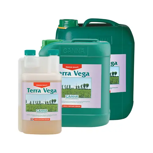 Canna - Terra Vega 1