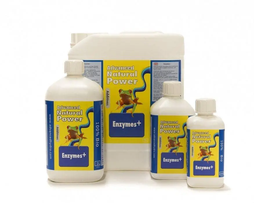 Dutch Formula Enzyme+ 1