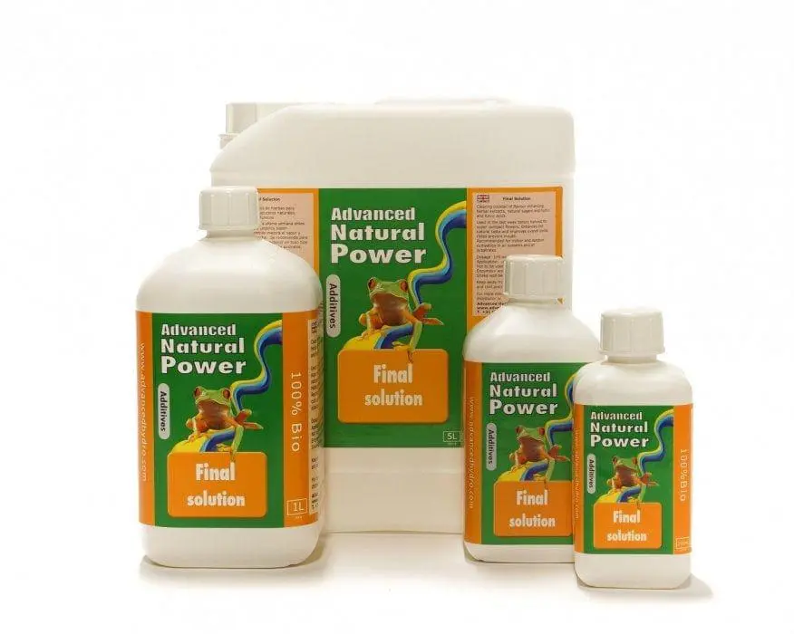 Dutch Formula Final Solution 1