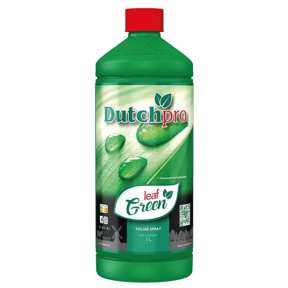 Dutch Pro Leaf Green 1