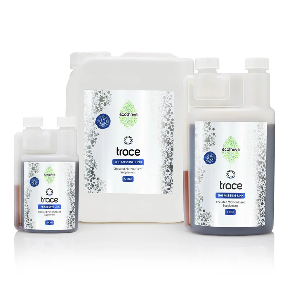 Ecothrive - Trace 1