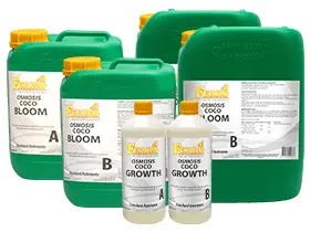 Ferro - Osmosis Coco Bloom 1