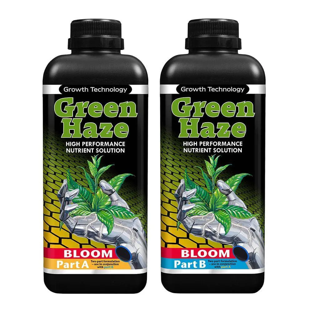 Green Haze Bloom 1
