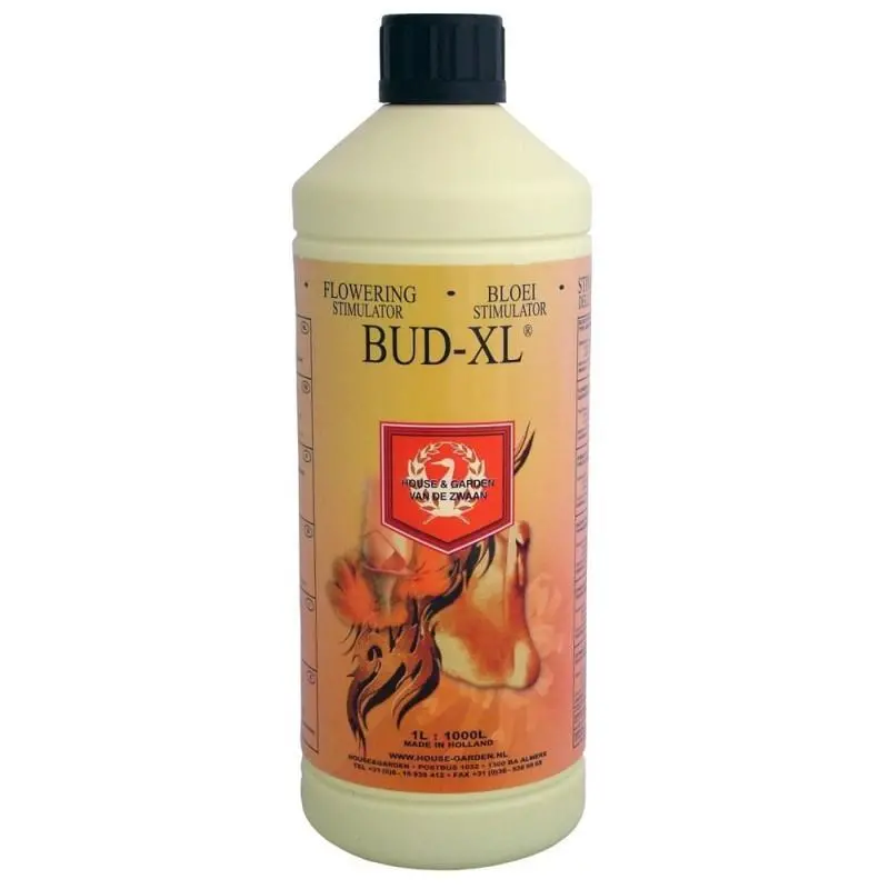 House & Garden - Bud Xl 1