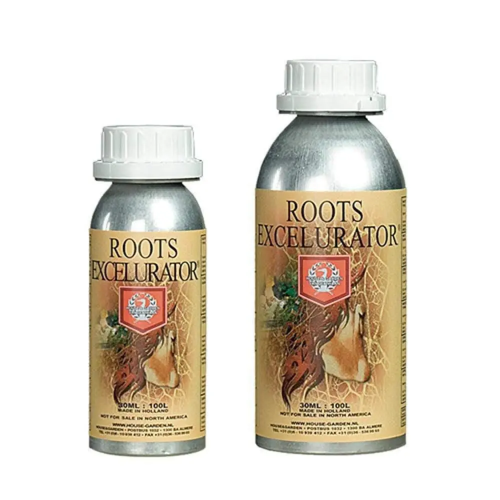 House & Garden - Silver Roots Excelurator 1