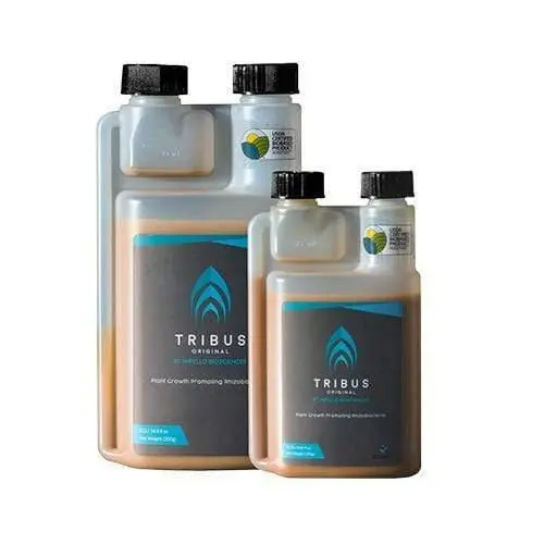 Impello Biosciences - Tribus Original 1