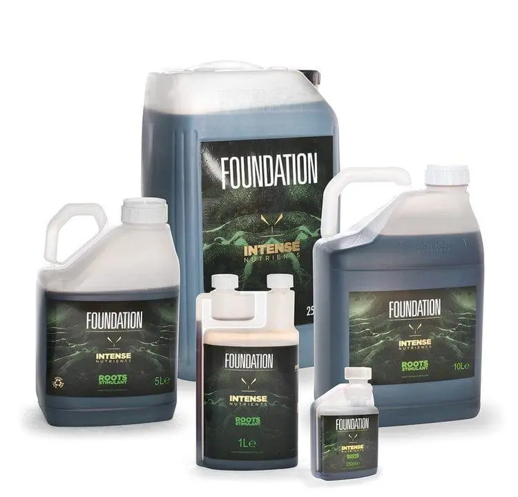 Intense Nutrients Foundation 1