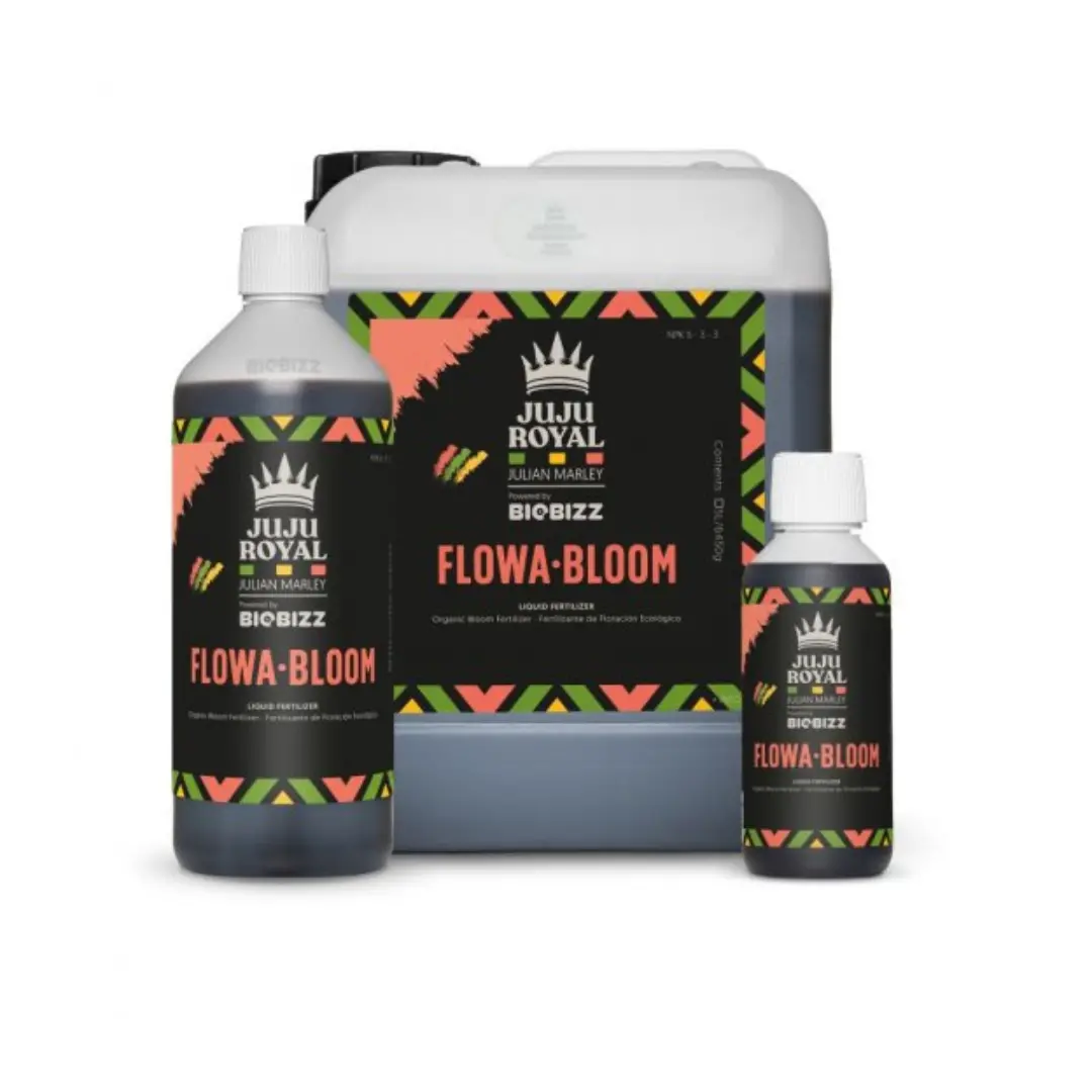 Juju Royal - Flowa Bloom 1