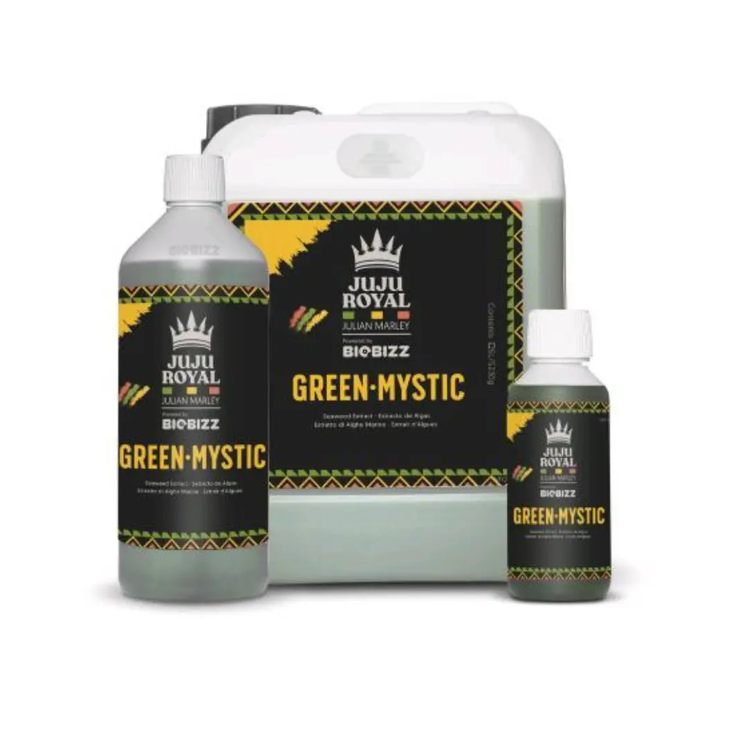 Juju Royal - Green Mystic 1