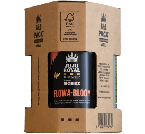 Juju Royal - I & I Starter Pack 1