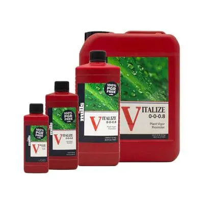 Mills Vitalize – Premium Bioavailable Silicon Supplement 1