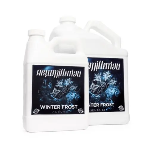 New Millenium Winter Frost 1