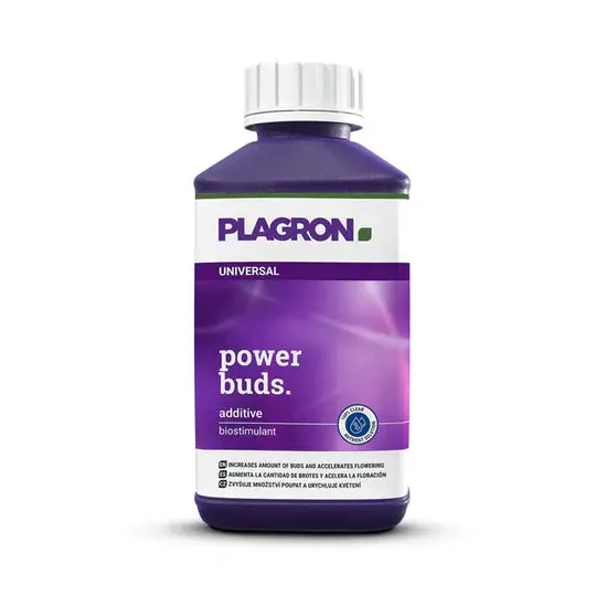 Plagron Power Buds 1