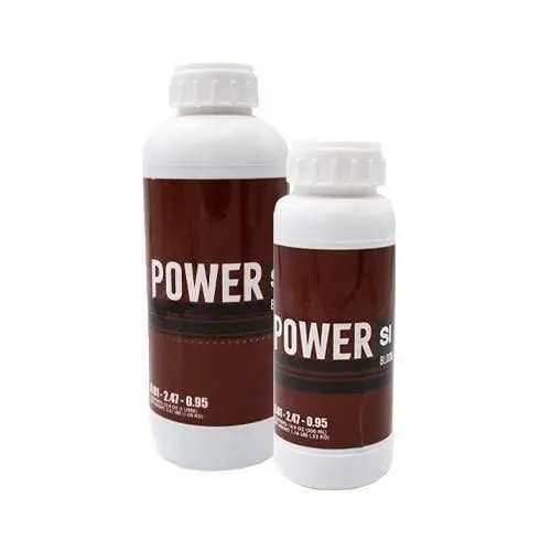 Power Si - Bloom 1