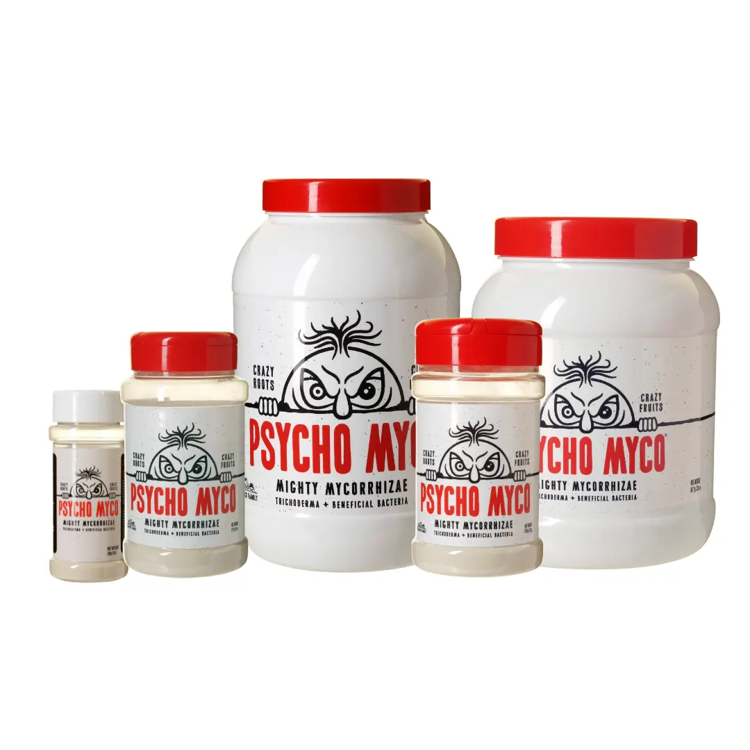 Psycho Myco - Mycorrhizae 1