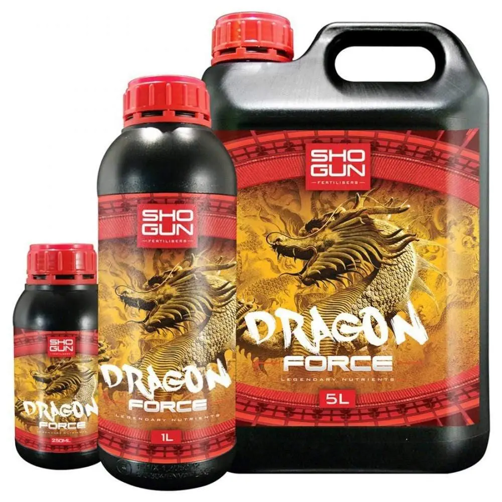 Shogun - Dragon Force 1