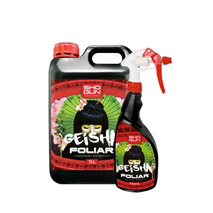 Shogun - Geisha Foliar Spray 1