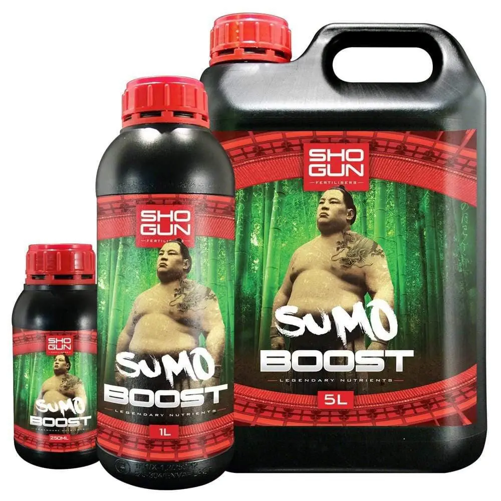 Shogun - Sumo Boost 1