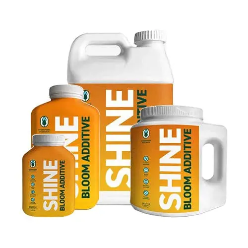 Veg Bloom - Shine Bloom Additive 1