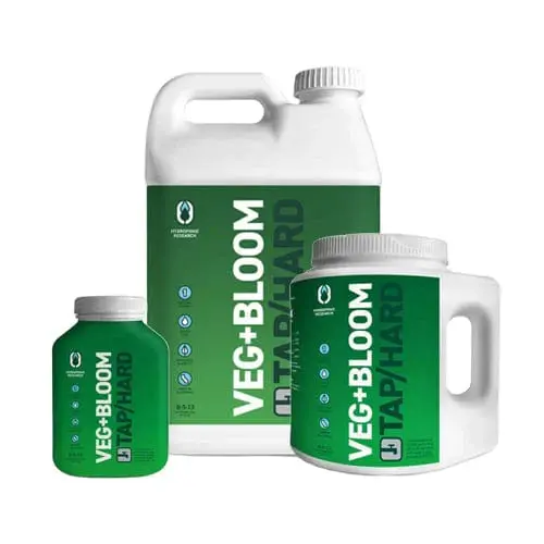 Veg Bloom - Tap / Hard Base 1