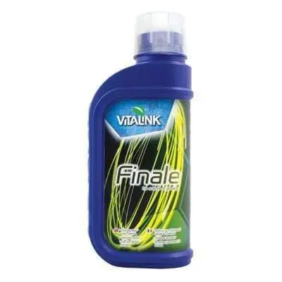 Vitalink Finale 2