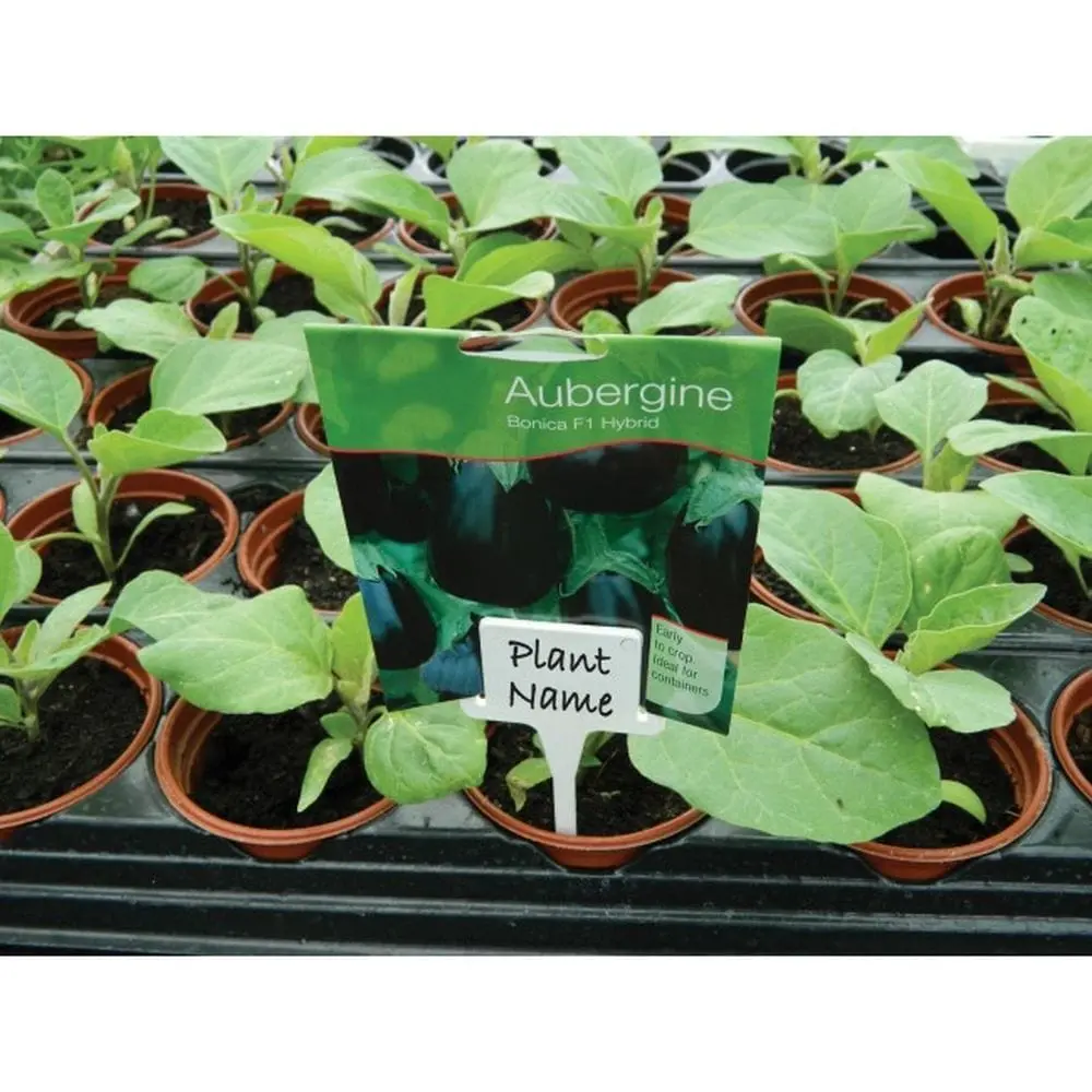 Garland White Tee Labels - Pack Of 10 1