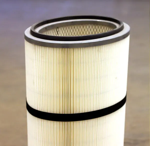 P199611-016-431 - Torit - Oem Replacement Filter 1
