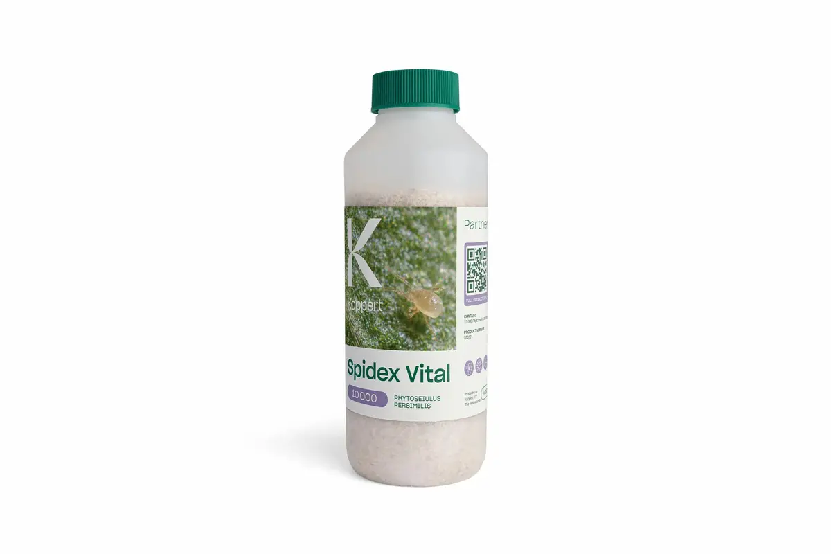 Spidex (Formerly Phytoline) - Spider Mite Predators 2