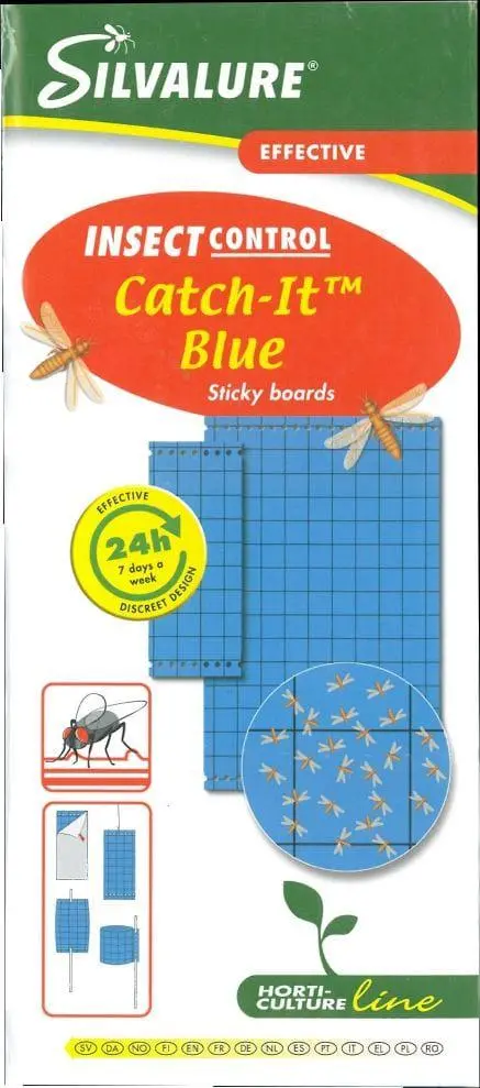 Blue Sticky Traps Insect Catcher (Pack Of 20) 1