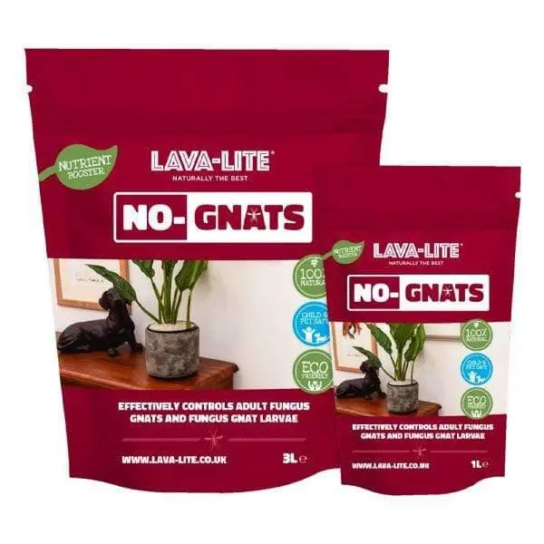 Lava-Lite No Gnats 1