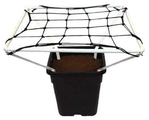 Scrog Line Pro 1.0 1