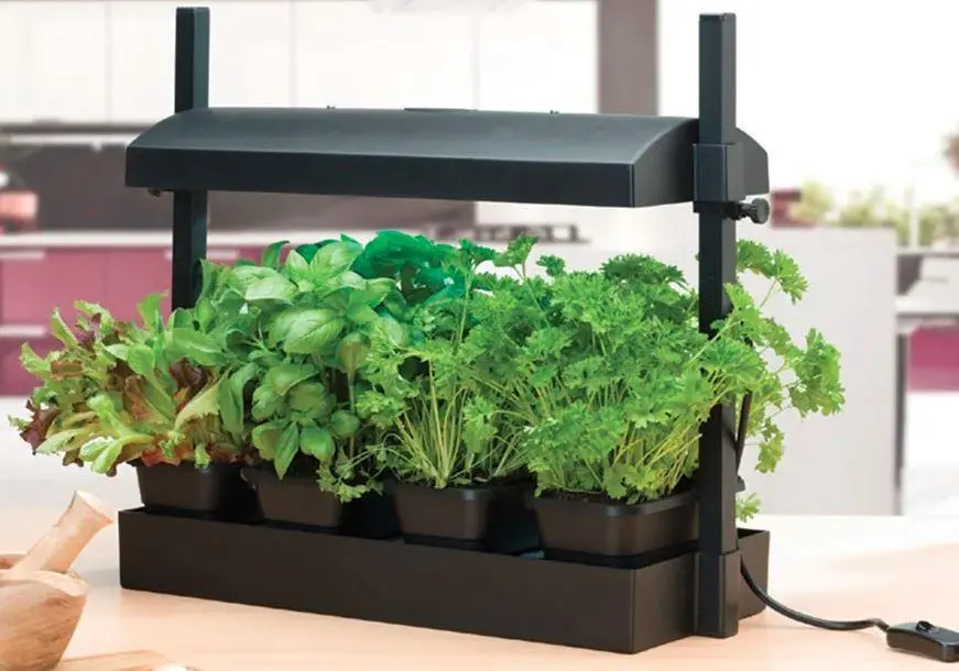 Garland Grow Light Garden - Black 11W 1
