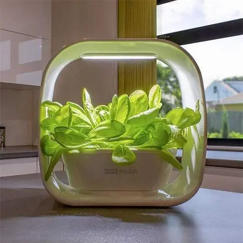 Plant!T Herb Garden 1