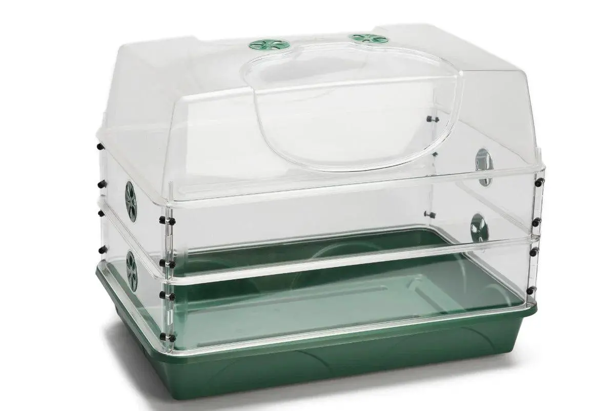 Large Domed Propagator With Double Height Extender Set 1