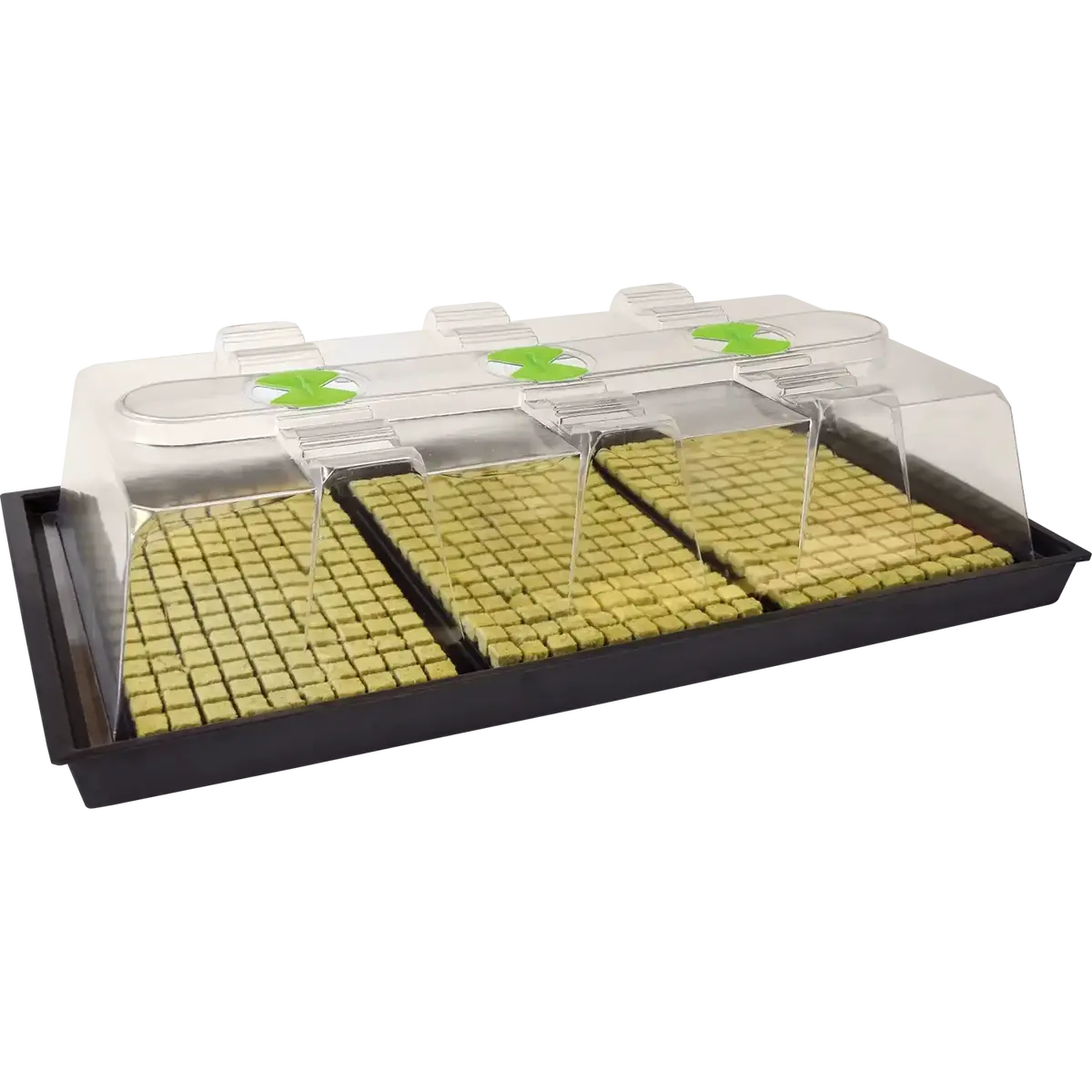 X-Stream Heated Propagator – Adjustable Thermostat Propagation System 4