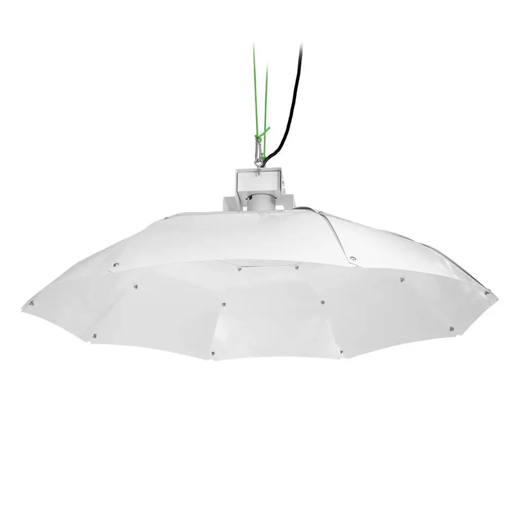 Sunking - Parabolic Reflector (Medium) 1